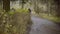 A man and a woman walk along a forest path in the autumn forest.