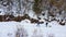 Man and woman walk small dog on snowy forest pathway