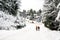 Man and woman walk in a winter snow scene