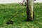 Man in work clothes mows green grass with a trimmer