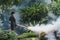 Man work fogging to eliminate mosquito for preventing spread dengue fever and zika virus