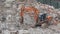 Man worker on excavator works on construction garbage dump.