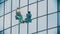 A man worker hanging on ropes and wipes the exterior windows of a business skyscraper - industrial alpinism