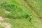 Man in working clothes and equipped with a professional brushcutter cutting the green grass of a solar