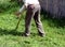 man working on green field scything tall grass in spring