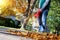 Man working with leaf blower: the leaves are being swirled up and down on a sunny day.