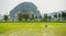 A man working in a rice paddy in ninh binh,vietnam