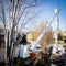 Man works from a cherry picker to cut limbs off of a tree