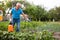 Man works with garden spray in the yard