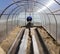 A man works in a vegetable garden in early spring. Digs the ground. Working in a greenhouse