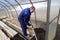 A man works in a vegetable garden in early spring. Digs the ground. Working in a greenhouse