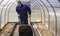 A man works in a vegetable garden in early spring. Digs the ground. Working in a greenhouse