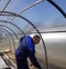 A man works in a vegetable garden in early spring. Digs the ground. Working in a greenhouse