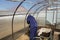 A man works in a vegetable garden in early spring. Digs the ground. Working in a greenhouse