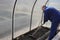 A man works in a vegetable garden in early spring. Digs the ground. Working in a greenhouse