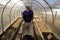 A man works in a vegetable garden in early spring. Digs the ground. Working in a greenhouse