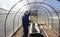 A man works in a vegetable garden in early spring. Digs the ground. Working in a greenhouse