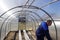 A man works in a vegetable garden in early spring. Digs the ground. Working in a greenhouse