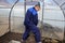 A man works in a vegetable garden in early spring. Digs the ground. Working in a greenhouse
