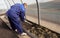 A man works in a vegetable garden in early spring. Digs the ground. Working in a greenhouse