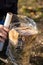 Man is wrapping a beech tree stub with clear film, protection of a mycelial inoculated stump in a mushroom farm