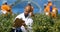 Man writing on clipboard in blueberry farm 4k