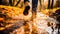 Man in yellow boots walking through muddy forest puddles in autumn