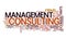 Management consulting text cloud