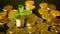 Management efficiency. Golden coins stack and green leaf on black background. Time for Success of Finance Business.