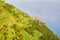 Manarola near a vine hill