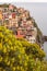 Manarola in spring time