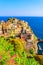 Manarola village in beautiful scenery of mountains and sea - Spectacular hiking trails in vineyard with flowers in Cinque Terre