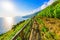 Manarola village in beautiful scenery of mountains and sea - Spectacular hiking trails in vineyard with flowers in Cinque Terre