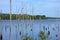Manasquan Reservoir, Howell, New Jersey -03