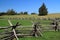 Manassas Battlefield National Park