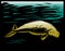 Manatee or dugong