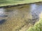 Manatees often come to canals when it gets cold in Central Florida