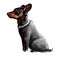 Manchester terrier dog wearing collar pet digital art