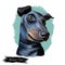 Manchester terrier, English dog breed digital art illustration. Smooth-haired pet domesticated to control vermin