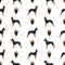 Manchester terrier standard seamless pattern. Different poses, coat colors set