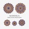 Mandala colored oriental round floral ornaments. Colorful vector hand drawn decorations