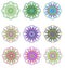 Mandala colored set. Geometric circle element.