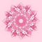 MANDALA DAHLIA FLOWER. PLAIN PINK BACKGROUND. CENTRAL LINEAR DESIGN IN PINK BURGUNDY AND WHITE