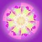 MANDALA FISH FLOWER. PLAIN PURPLE BACKGROUND. CENTRAL DESIGN IN PURPLE, YELLOW AND CREAM