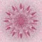 MANDALA  FLOWER. LINEAR PINK BACKGROUND. ETHNIC IMAGE. CENTRAL FLOWER IN PINK, BURGUNDY AND WHITE
