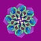 MANDALA FLOWER PETALS. PLAIN PURPLE BACKGROUND. CENTRAL FLOWER IN PURPLE, BLUE, GREEN AND IVORY COLORS