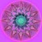 MANDALA FLOWER. PLAIN PURPLE BACKGROUND. LINEAR CENTRAL CIRCLE IN PURPLE, PINK AND BURGUNDY. FLOWER IN PINK, PURPLE, TUQUOISE