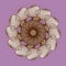 MANDALA FLOWER. PLAIN PURPLE BACKGROUND. TEXTURED CENTRAL DESIGN. FLOWER IN BROWN