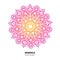 Mandala flower vector drawing. Ethnic colorful decorative element.