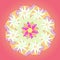 MANDALA FLOWERS. PLAIN PINK BACKGROUND. PASTEL COLORS PALLET IN PINK, PURPLE, ORANGE AND YELLOW